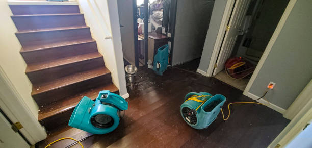 Best Water damage cleanup near me  in Holly Hill, FL