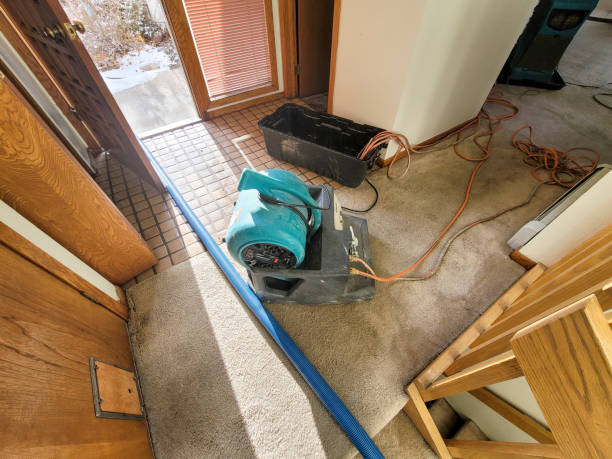  Holly Hill, FL Water damage restoration Pros
