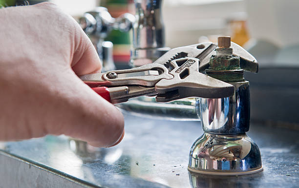Best 24-hour water damage restoration  in Holly Hill, FL