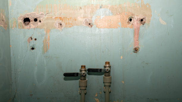 Best Emergency water damage restoration  in Holly Hill, FL